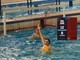 Busto Pallanuoto, prestazione convincente contro Sestri: 12-6 Busto Pallanuoto, prestazione convincente contro Sestri: 12-6