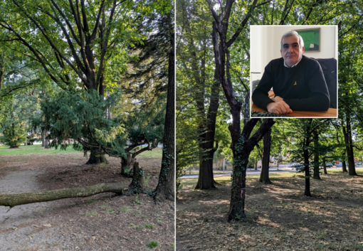 «No a giochi davanti al cimitero di Busto, sì a soluzioni serie»: Tallarida replica sul parco a Madonna Regina «No a giochi davanti al cimitero di Busto, sì a soluzioni serie»: Tallarida replica sul parco a Madonna Regina