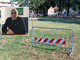 Parco di Beata Giuliana chiuso dopo il crollo di un albero: Palazzo Gilardoni fa chiarezza Parco di Beata Giuliana chiuso dopo il crollo di un albero: Palazzo Gilardoni fa chiarezza