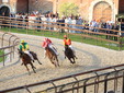 Foto Fabrizio Riboni