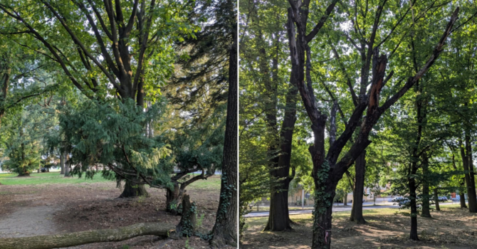 Parco Rimembranze Parco Rimembranze