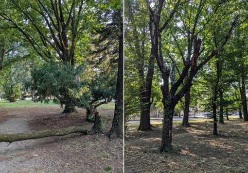 Parco Rimembranze