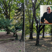 «No a giochi davanti al cimitero di Busto, sì a soluzioni serie»: Tallarida replica sul parco a Madonna Regina «No a giochi davanti al cimitero di Busto, sì a soluzioni serie»: Tallarida replica sul parco a Madonna Regina