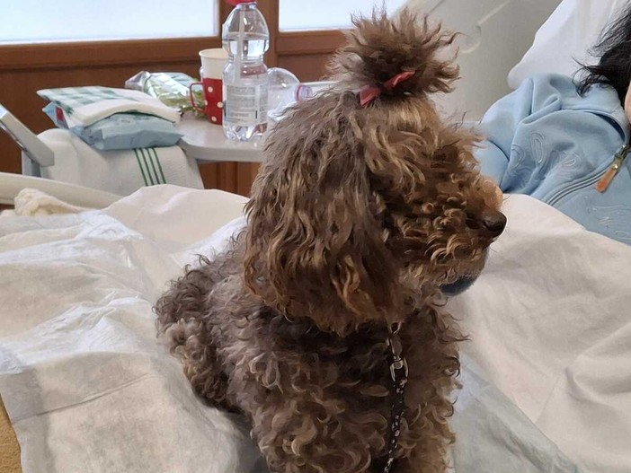 Ariel al lavoro, in grembo a una paziente allettata