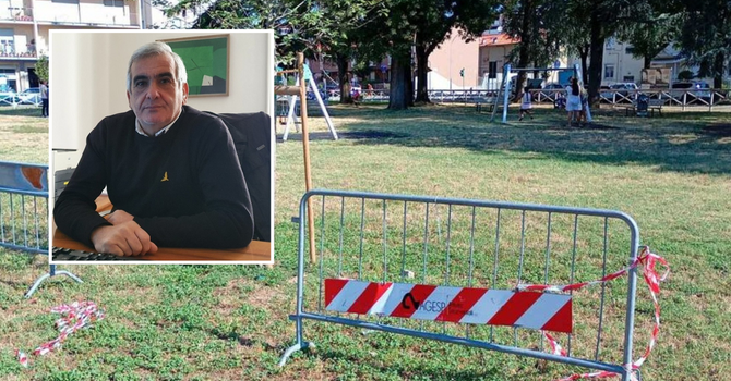 Parco di Beata Giuliana chiuso dopo il crollo di un albero: Palazzo Gilardoni fa chiarezza Parco di Beata Giuliana chiuso dopo il crollo di un albero: Palazzo Gilardoni fa chiarezza