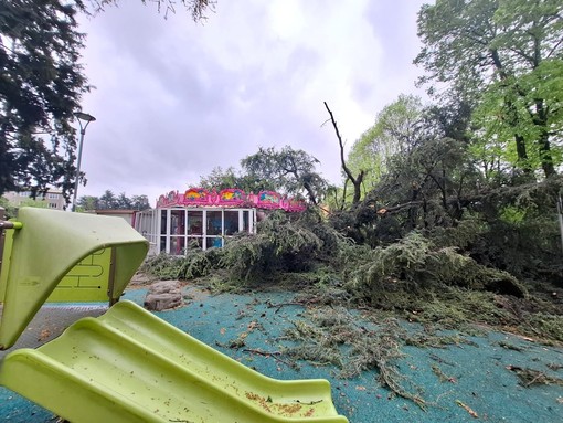 Il giardino Piera Pattani è stato chiuso al pubblico per la caduta di un albero