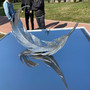 La piuma del monumento in una foto d'archivio