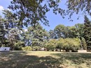 Nel parco Rimembranze, verde e tracce di storia