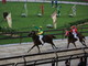 Foto Fabrizio Riboni