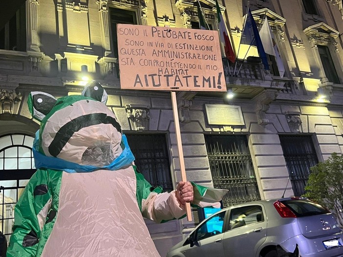 «Aiutatemi»: appello del pelobate davanti a palazzo Borghi ma sul nuovo palazzetto si tira dritto «Aiutatemi»: appello del pelobate davanti a palazzo Borghi ma sul nuovo palazzetto si tira dritto