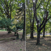 Parco Rimembranze Parco Rimembranze