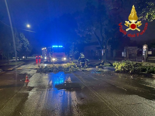 Le immagini di alcuni interventi dei vigili del fuoco il 29 agosto