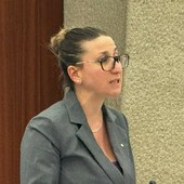 Sicurezza, Dell'Erba: «Lo Stato stia dalla parte dei cittadini onesti e di chi garantisce l’ordine»