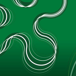 Varesini protagonisti ai Premi Rosa Camuna 2026: ecco le eccellenze premiate dalla Lombardia
