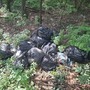 I sacchi abbandonati da alcuni giorni in una stradina che sbocca su via Savona