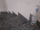 Al Seprio Park si sono ripetuti, in passato, ritrovamenti di superalcolici e segnalazioni sulla frequentazione di gruppi di giovanissimi Al Seprio Park si sono ripetuti, in passato, ritrovamenti di superalcolici e segnalazioni sulla frequentazione di gruppi di giovanissimi