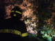 Maxi incendio alle porte di Como, fiamme vicino alle abitazioni: evacuate cinque persone Maxi incendio alle porte di Como, fiamme vicino alle abitazioni: evacuate cinque persone
