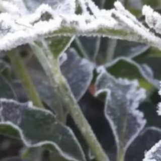 Freddo da vero inverno. Ma l'Epifania sarà asciutta sul Varesotto