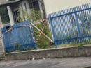 Il luogo dell'incidente (foto tratta dal gruppo Facebook Bacheca Civica di Samarate) Il luogo dell'incidente (foto tratta dal gruppo Facebook Bacheca Civica di Samarate)