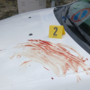 Il sangue rinvenuto sul cofano di una delle tre auto al Sacro Monte