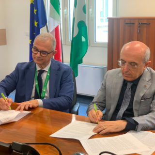 Pascolo vagante, definite le nuove linee di indirizzo territoriali di Prefettura e ATS Insubria: più sicurezza, controlli coordinati e strumenti per i Comuni
