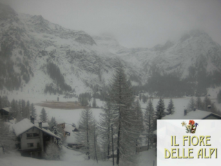 Ancora l'Alpe Devero