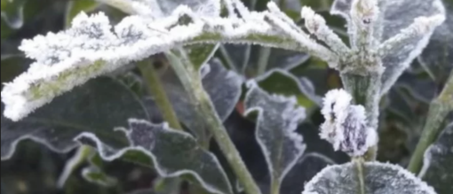 Freddo da vero inverno. Ma l'Epifania sarà asciutta sul Varesotto Freddo da vero inverno. Ma l'Epifania sarà asciutta sul Varesotto
