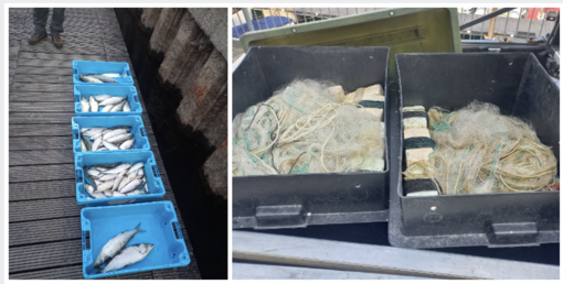 Il materiale sequestrato dalla polizia Provinciale
