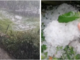 Grandinata a Maccagno con Pino e Veddasca (si ringrazia Giacomo sul canale Instagram naturalmeteo_reporter)