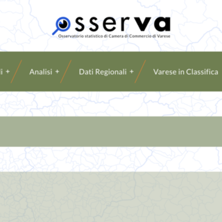 La schermata iniziale del sito osserva-varese.it