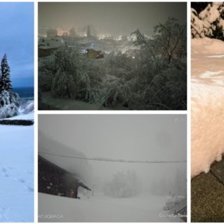 Da sinistra in senso orario il manto bianco immacolato del viale delle cappelle al Sacro Monte, il paesaggio incantato del Brinzio (foto Lucy) con i 30 centimetri accumulati (foto Pietro Marè - NaturalMeteo) e Macugnaga sommersa al risveglio