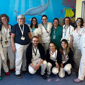 Terapia intensiva neonatale del Del Ponte di Varese: un’eccellenza al servizio dei più piccoli e delle loro famiglie