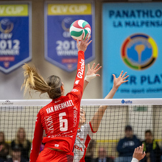 Molto bene Van Avermaet, mvp della gara