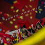 I tifosi della Uyba alla e-work Arena I tifosi della Uyba alla e-work Arena