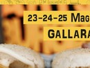 Urban Lake Street Food Festival raddoppia a Gallarate