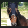 Foto Adn Kronos Foto Adn Kronos