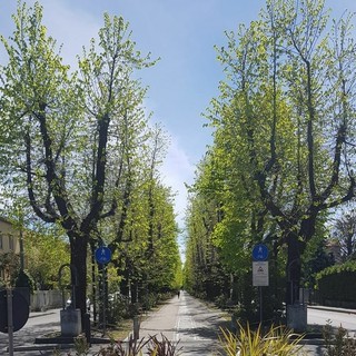 Festa di Primavera, a Cassano Magnago la solidarietà dà spettacolo e diverte
