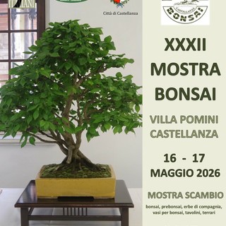 Il Giappone in miniatura torna a Villa Pomini