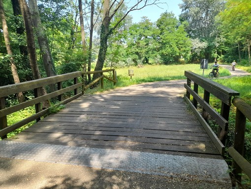 Lavori di manutenzione in vista sulla pista ciclopedonale del lago di Varese in località Voltorre a Gavirate