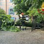 Alberi caduti tra Varese e Malnate a causa del violento temporale notturno