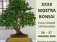 Il Giappone in miniatura torna a Villa Pomini Il Giappone in miniatura torna a Villa Pomini