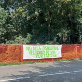 «Via Curtatone, difendere il bosco costa un processo»