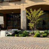 Il verde in centro a Busto rifiorisce, sistemate oltre 50 aiuole