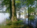 Gli effetti dell'esondazione del lago di Varese alla Schiranna