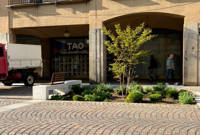 Il verde in centro a Busto rifiorisce, sistemate oltre 50 aiuole