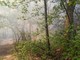 Incendio nel bosco di Vergiate (foto dalla pagina Facebook del sindaco)