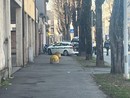 La polizia locale sul posto