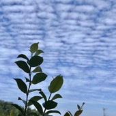 METEO. Sul Varesotto oggi possibile qualche temporale: poi sarà di nuovo afa