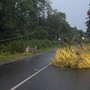 Verbano Cusio Ossola, i temporali picchiano duro: quaranta interventi dei vigili del fuoco