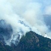 Incendi nel Vco, due Canadair in azione. Candiani: «Chiesti rinforzi, situazione molto impegnativa» Incendi nel Vco, due Canadair in azione. Candiani: «Chiesti rinforzi, situazione molto impegnativa»